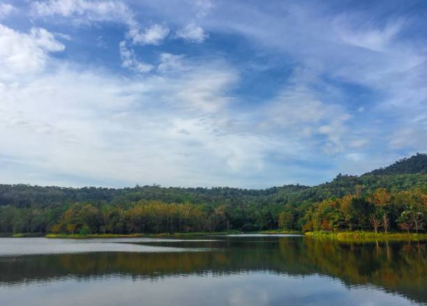 istock autumn forest reflected by the lake 1217587316