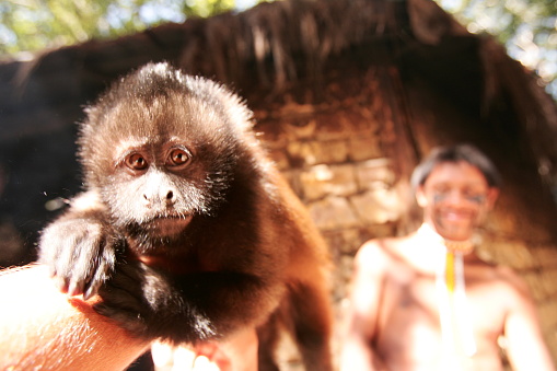 Porto Seguro, Bahia / Brazil - June 18, 2010: Pataxo Indians hold pet monkeys in Vila Jaquira in the city of Porto Seguro.