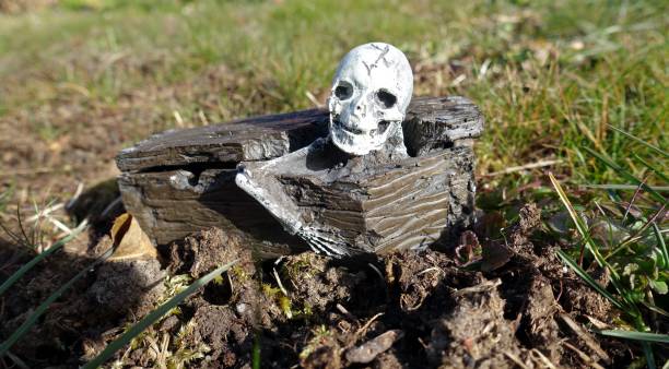 istock A skeleton is about to leave the chest 1217588738