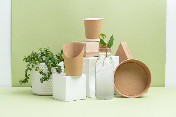 istock Composition of ecologically harmless foodware with some plants over green 1217588931