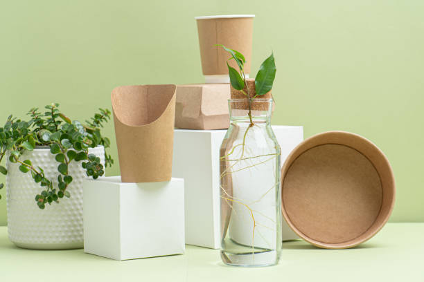istock Eco-friendly disposable paper containers and live plants 1217589170