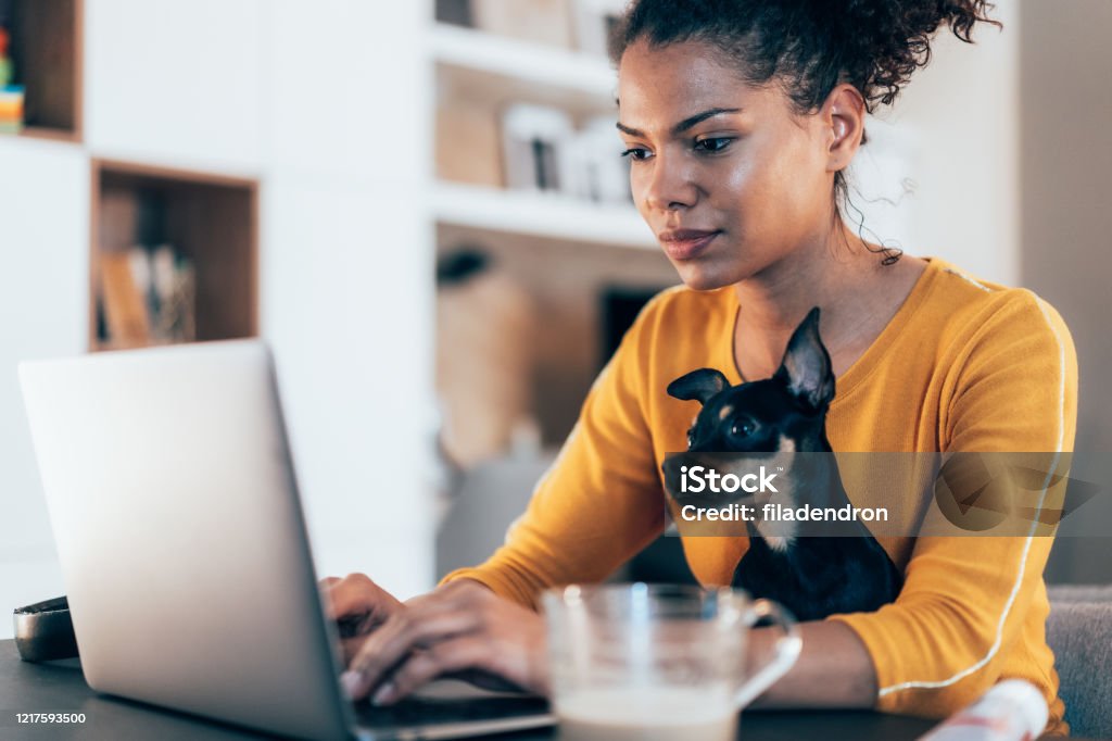Home office Young afro-american woman sitting with her pet dog and using laptop at home Dog Stock Photo