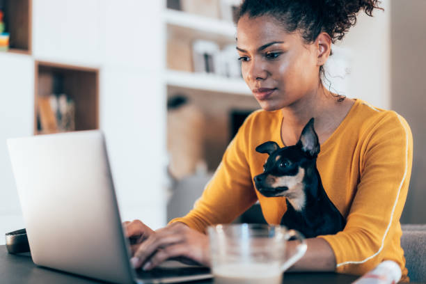 Home office Young afro-american woman sitting with her pet dog and using laptop at home typing photos stock pictures, royalty-free photos & images