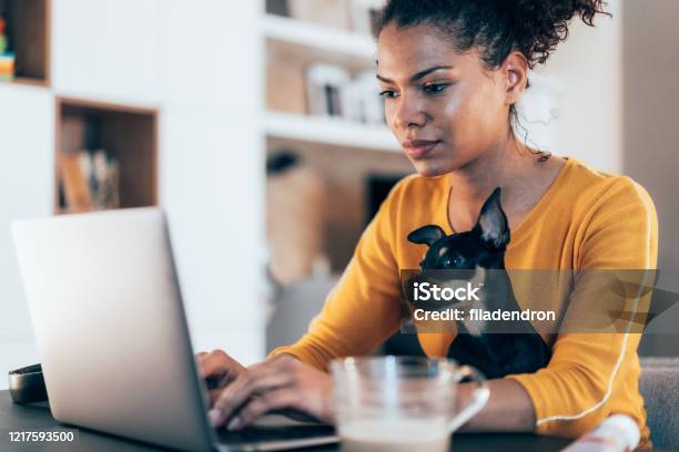 Home Office Stock Photo - Download Image Now - Dog, Working At Home, Women