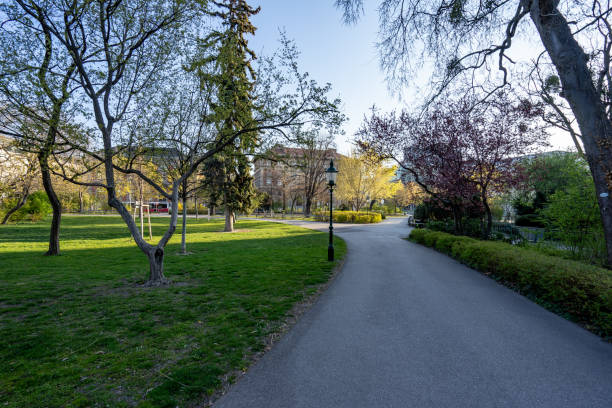 istock Old streets of Vienna in springtime 1217593881