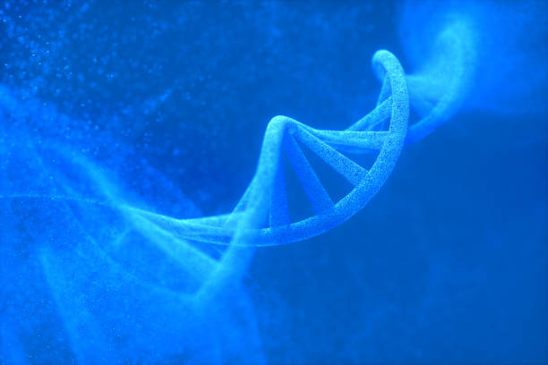 3d Illustration of DNA molecule