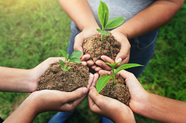 istock three hand holding young Plant and standing group. nurture Environmental concept 1217597179