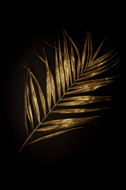 istock Golden plant leaf on a black background, stylish minimalistic composition with copyspace 1217598182