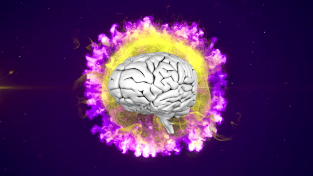 1,715 Brain Vector Stock Videos and Royalty-Free Footage - iStock | Brain  vector icon, Brain vector illustration, Human brain vector