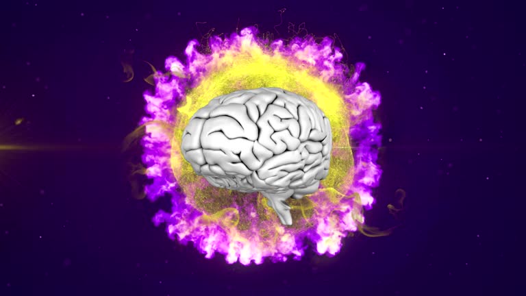 1,715 Brain Vector Stock Videos and Royalty-Free Footage - iStock | Brain vector icon, Brain vector illustration, Human brain vector 1,715 Brain Vector Stock Videos and Royalty-Free Footage - iStock | Brain vector icon, Brain vector illustration, Human brain vector