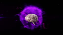 Animation Of 3d Metallic Human Brain Rotating Over Glowing Purple Globe On  Black Background Stock Video - Download Video Clip Now - iStock