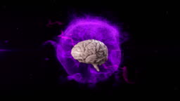 Animation Of 3d Metallic Human Brain Rotating Over Glowing Purple Globe On Black Background Stock Video - Download Video Clip Now - iStock Animation Of 3d Metallic Human Brain Rotating Over Glowing Purple Globe On Black Background Stock Video - Download Video Clip Now - iStock