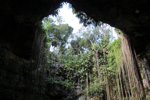 istock Mexican Nature Parks in Yucatan: Tulum, Chichen Itza, Playa del Carmen 1217603208