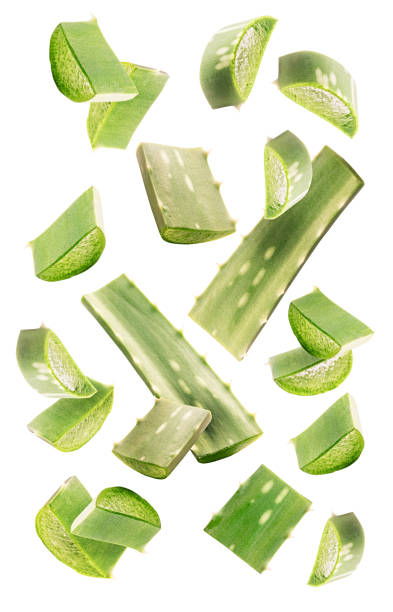 istock Aloe vera slices and leaves isolated on a white background 1217604357