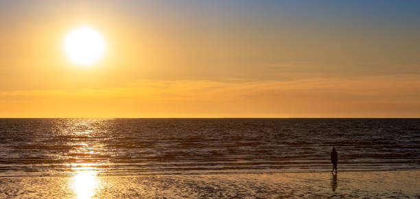 istock Single woman at beach 1217605394