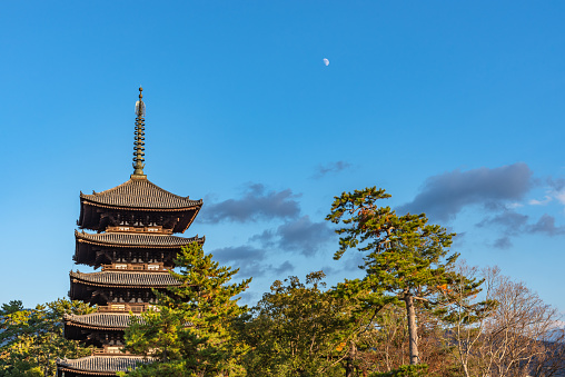 Five-storied pagoda inside the Kofuku-ji buddhist temple. one of the powerful Seven Great Temples in the city of Nara, Nara Prefecture, Japan