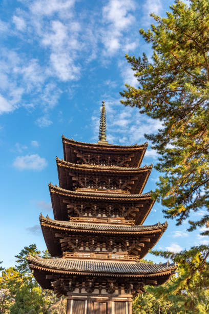 高福寺內的五座寶塔 - 興福寺 奈良 個照片及圖片檔