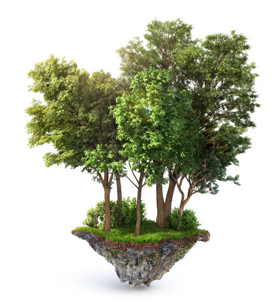 Eco concept. Trees on the piece of ground. 3d illustration