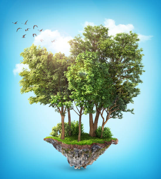 istock Eco concept. Trees on the piece of ground. 3d illustration 1217606726