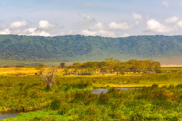 istock View of Africa 1217611795
