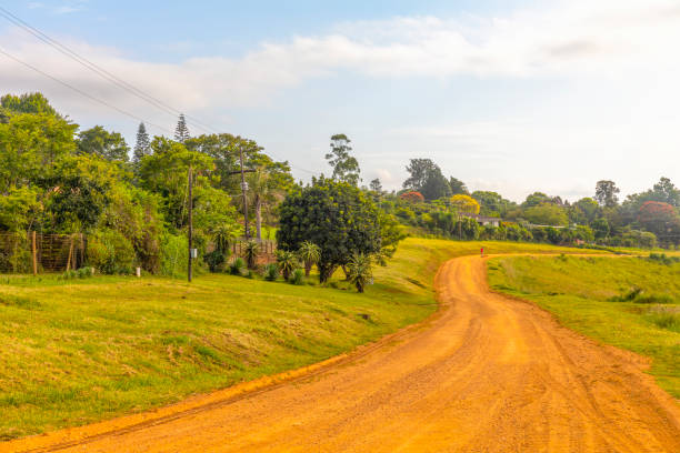 istock Country Road in South Afirca 1217611873