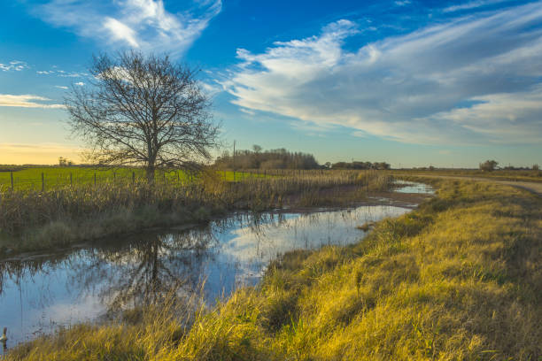 istock FIELD LANDSCAPE IN AUTUMN. STREAM WITH REFLECTION IN THE WATER 1217612743