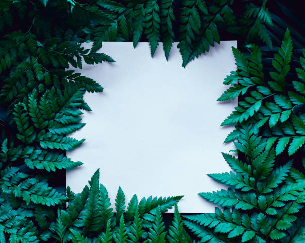 istock tropical green leaves and palms  background with white paper card note 1217612871