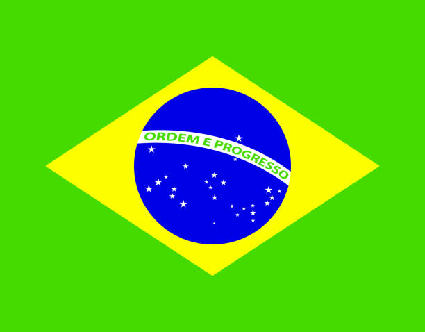 istock Amazing design of a Brazilian flag 1217613145