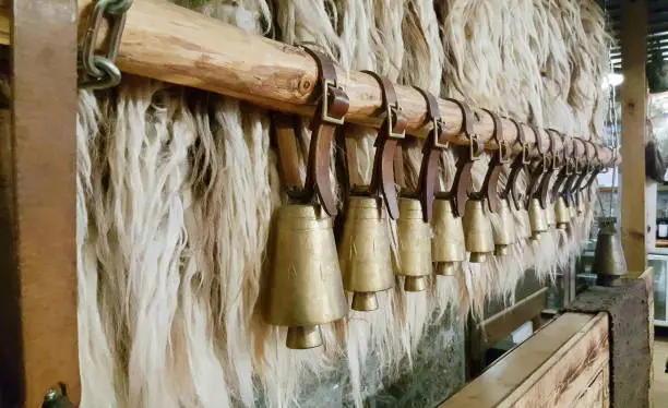 Bulgarian bells of copper and leather straps hanging on a wooden stick. The bells are marked with inscription Bulgaria.