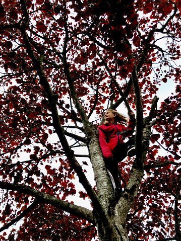 Happy and contented young girl in red coat climbing red leaved tree