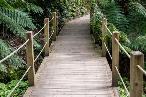 Wooden footbridge walkway over a small stream
