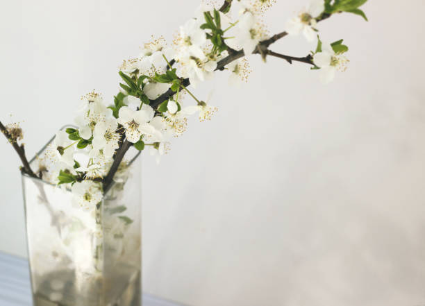 istock Tree branch with blooming flowers in a vase 1217615223