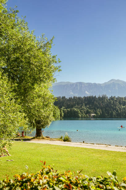 istock Lake Bled and trail road in Slovenia 1217620604