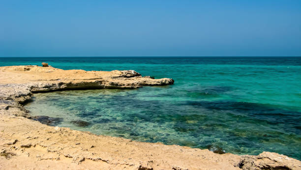 istock Northern Coastline of Qatar 1217621661