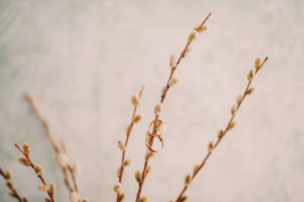 istock Wedding rings on a willow. Sprigs of willow. 1217622713