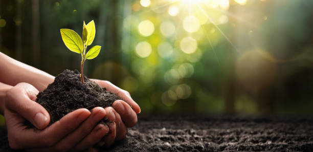 istock Care of the Environment Ecology Concept 1217624312