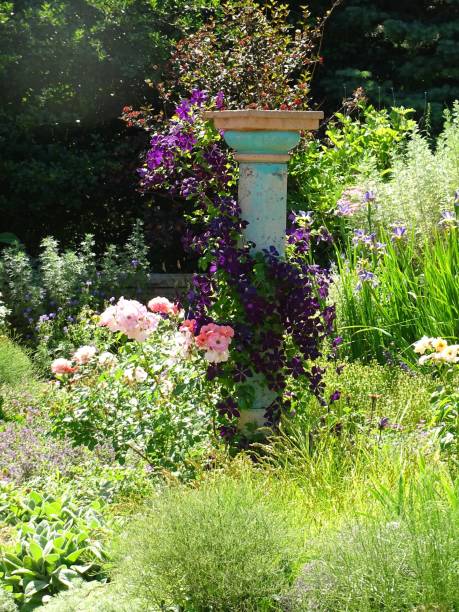 istock Colorful Garden 1217624453