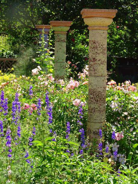 istock Colorful Garden 1217624458