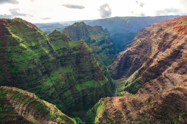 aerial view of waimea canyon state park in kauai, hawaii usa - waimea canyon state park imagens e fotografias de stock