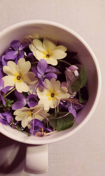 vie printanière - floral centerpiece photos et images de collection