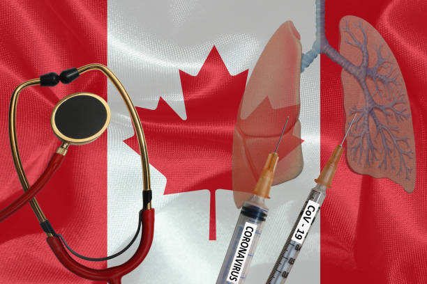 istock Coronavirus Covid - 19 Canada  Lungs infected  Medical care 1217625194
