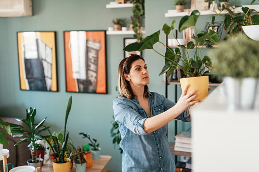 Woman arranging plants and flowers to decorate the living space.