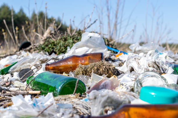 istock Municipal garbage dump in landfill. Environmental pollution. 1217629543
