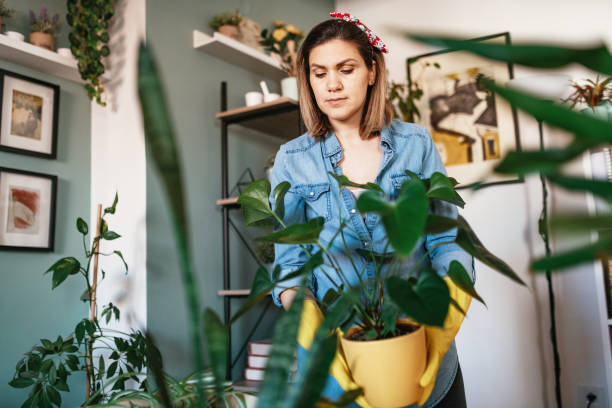 istock Home improvement with new plants 1217629579