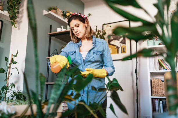 istock Home improvement with new plants - woman spraying plants with growth solution 1217629628