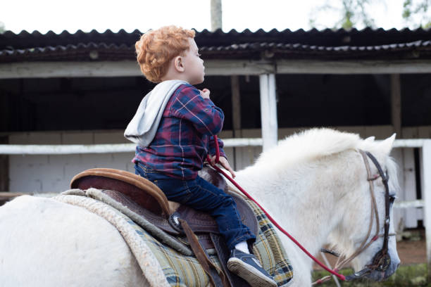 istock Little boy riding horse 1217630941