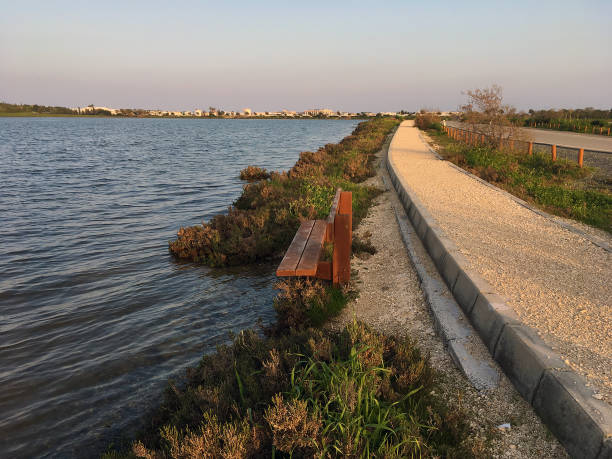 istock Salt lake full with water. Larnaca, Cyprus 1217631440