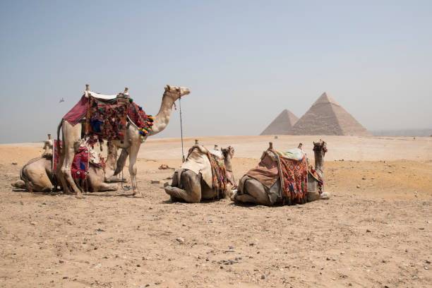 istock Giza pyramids, next to Cairo in Egypt, Africa 1217632107