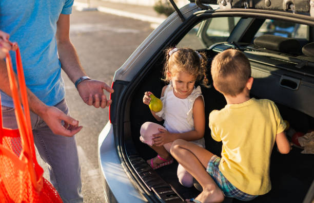 istock Family having fun after grocery shopping 1217634406