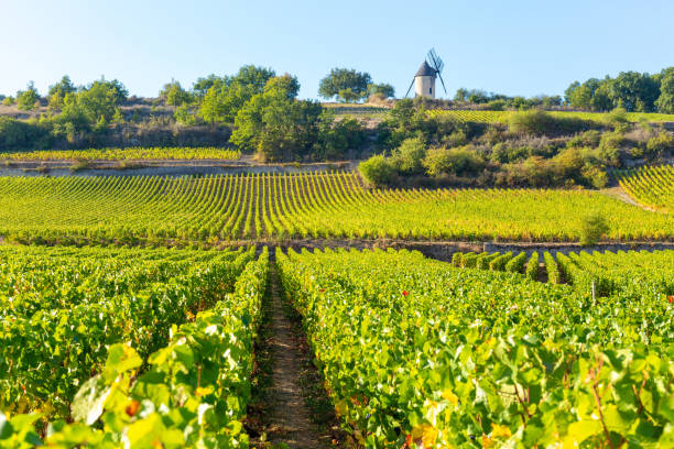 15 September 2019. View of Sorine Mill in Burgundy, France. stock photo